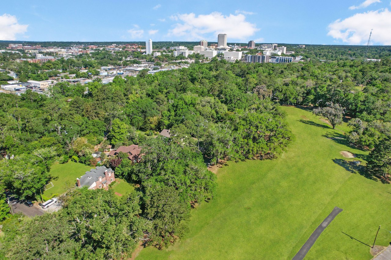 Aerial view of the Myers Park with a view extending to a distant urban skyline.