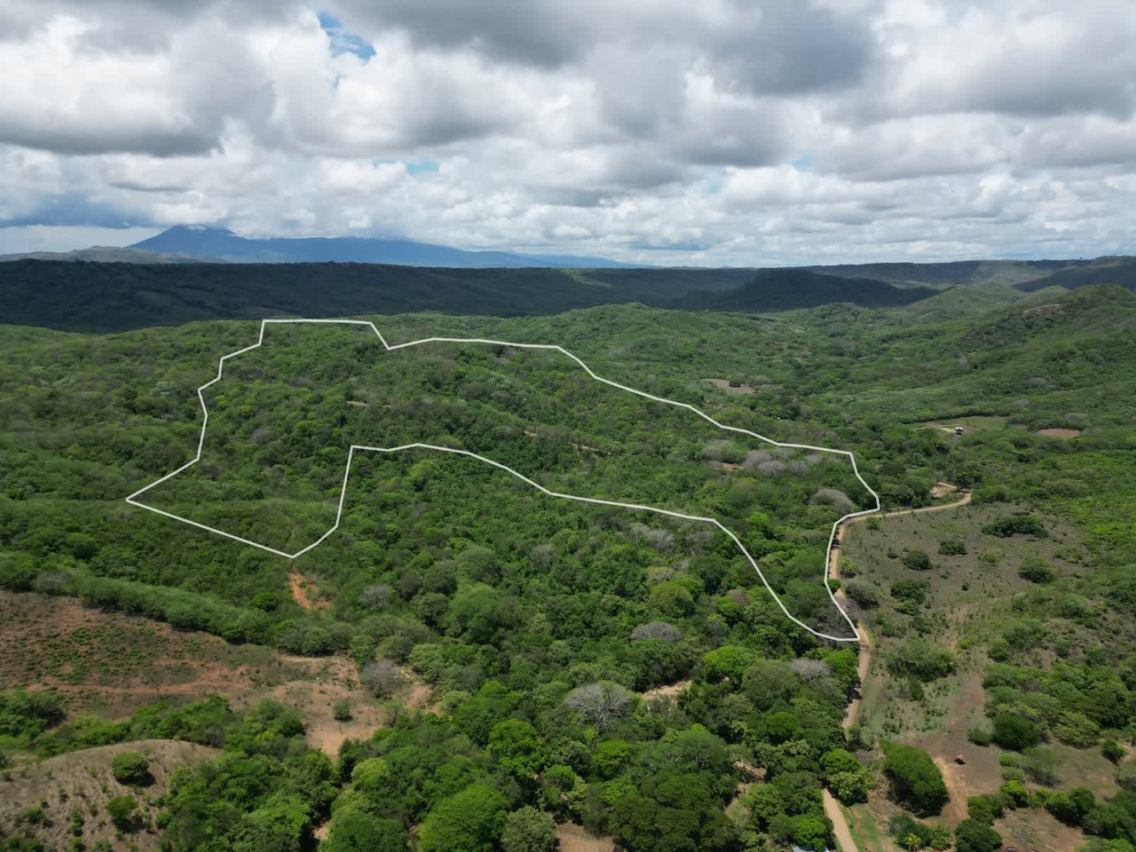 Finca Los Tamarindos