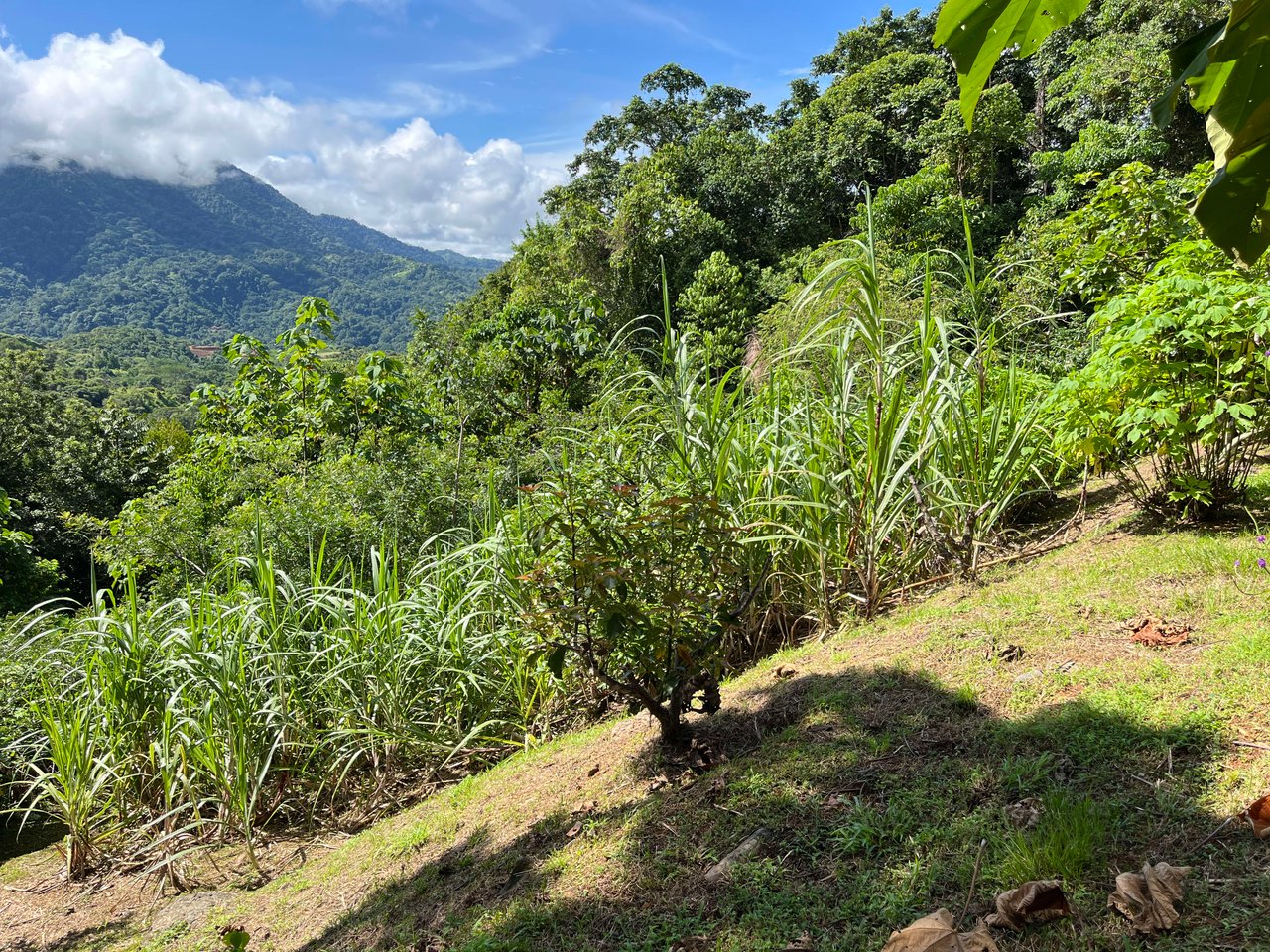 Costa Azul 120-degree Mountain View House With Costarican Wooden House as Lagniappe.