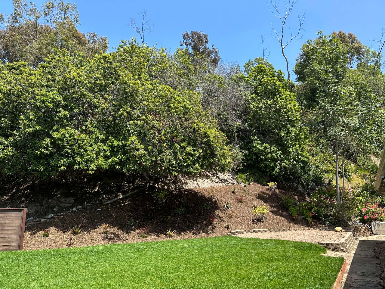 SDSU Mid Century Stunner for Lease