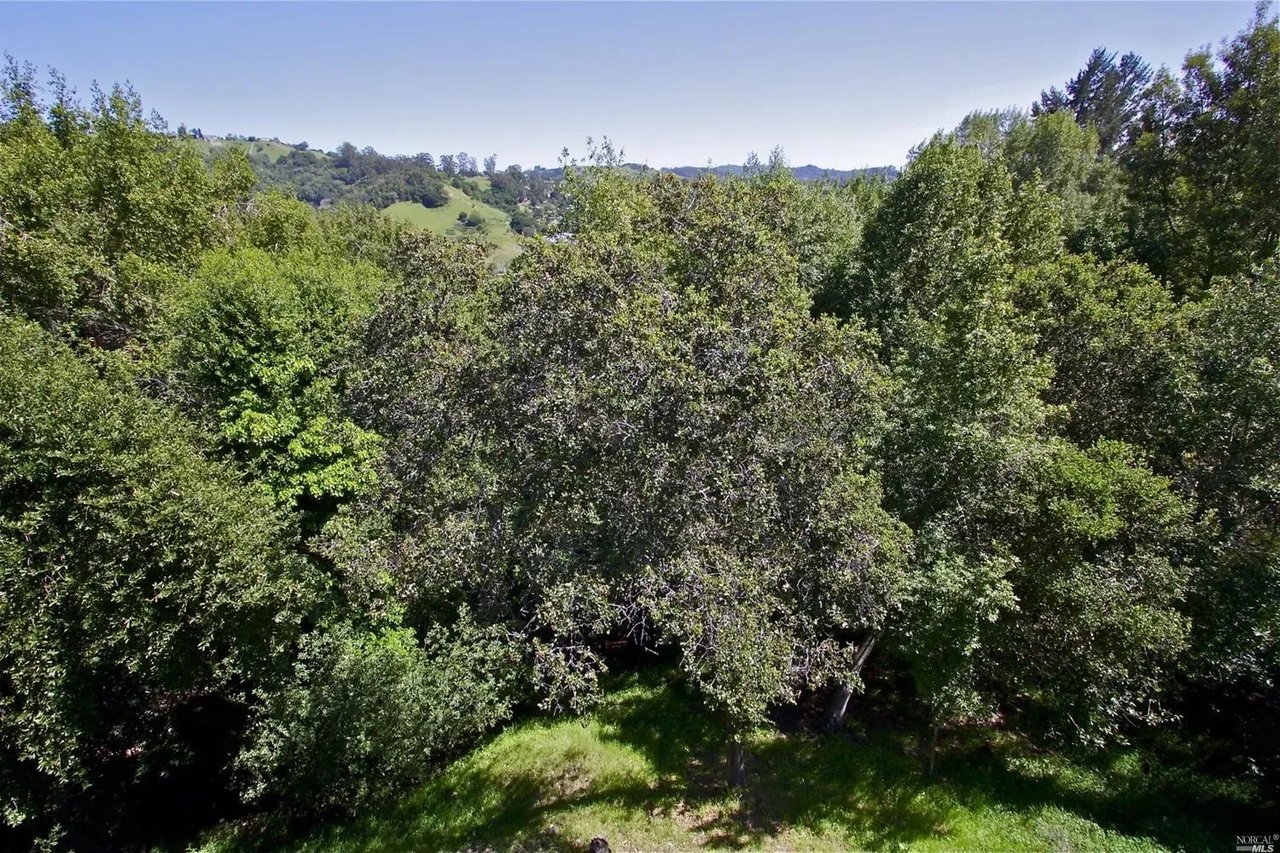9 Berry Trail