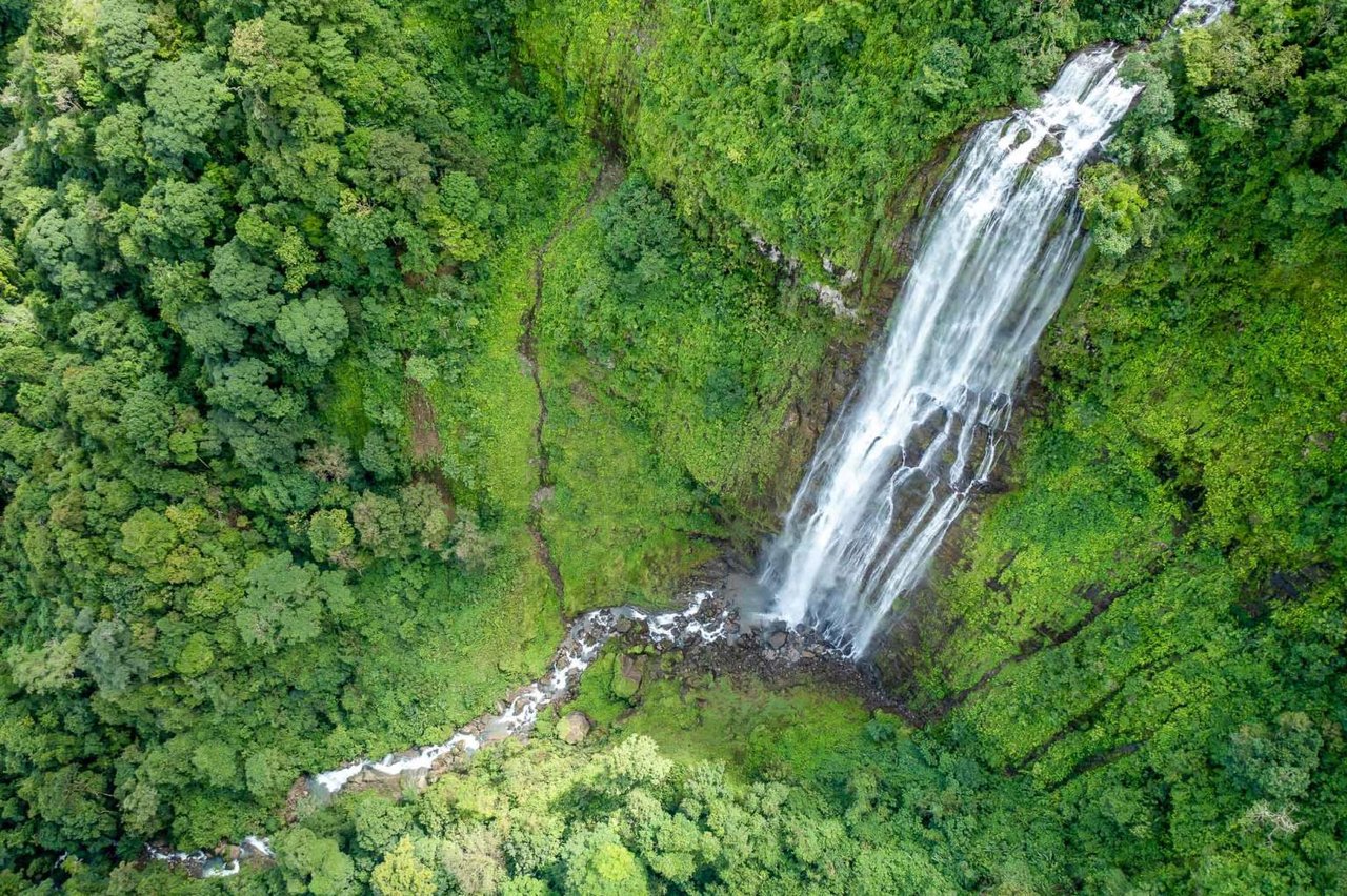 Diamante Waterfall Farm