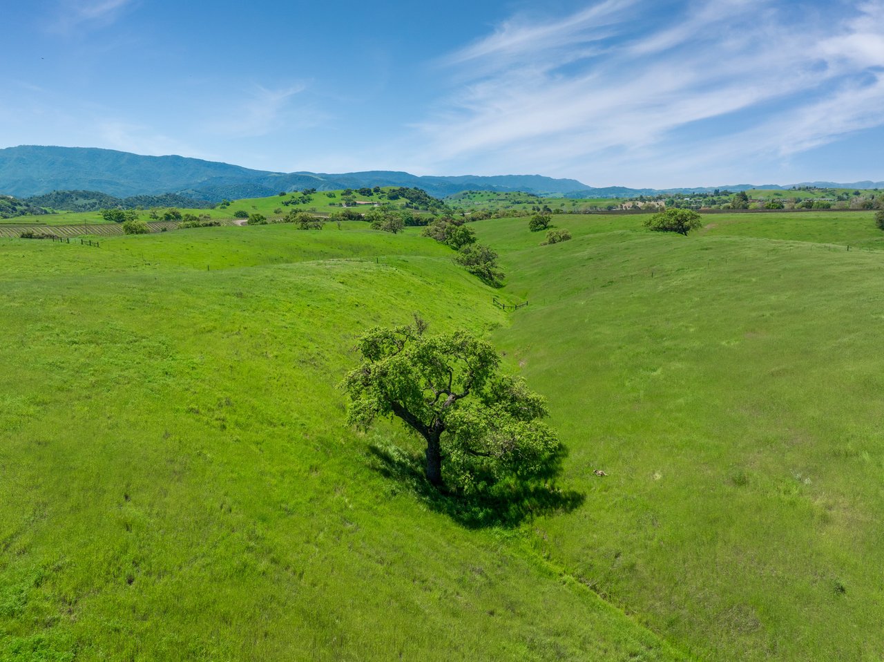 105+/- Magical Acres in Happy Canyon