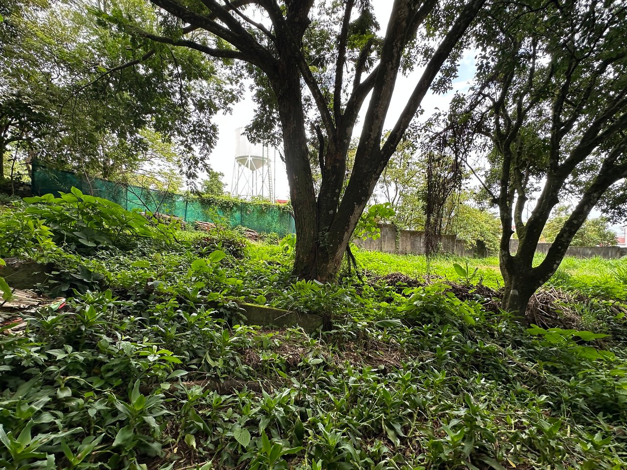 Lush Butterfly Garden Building Lot, Heredia