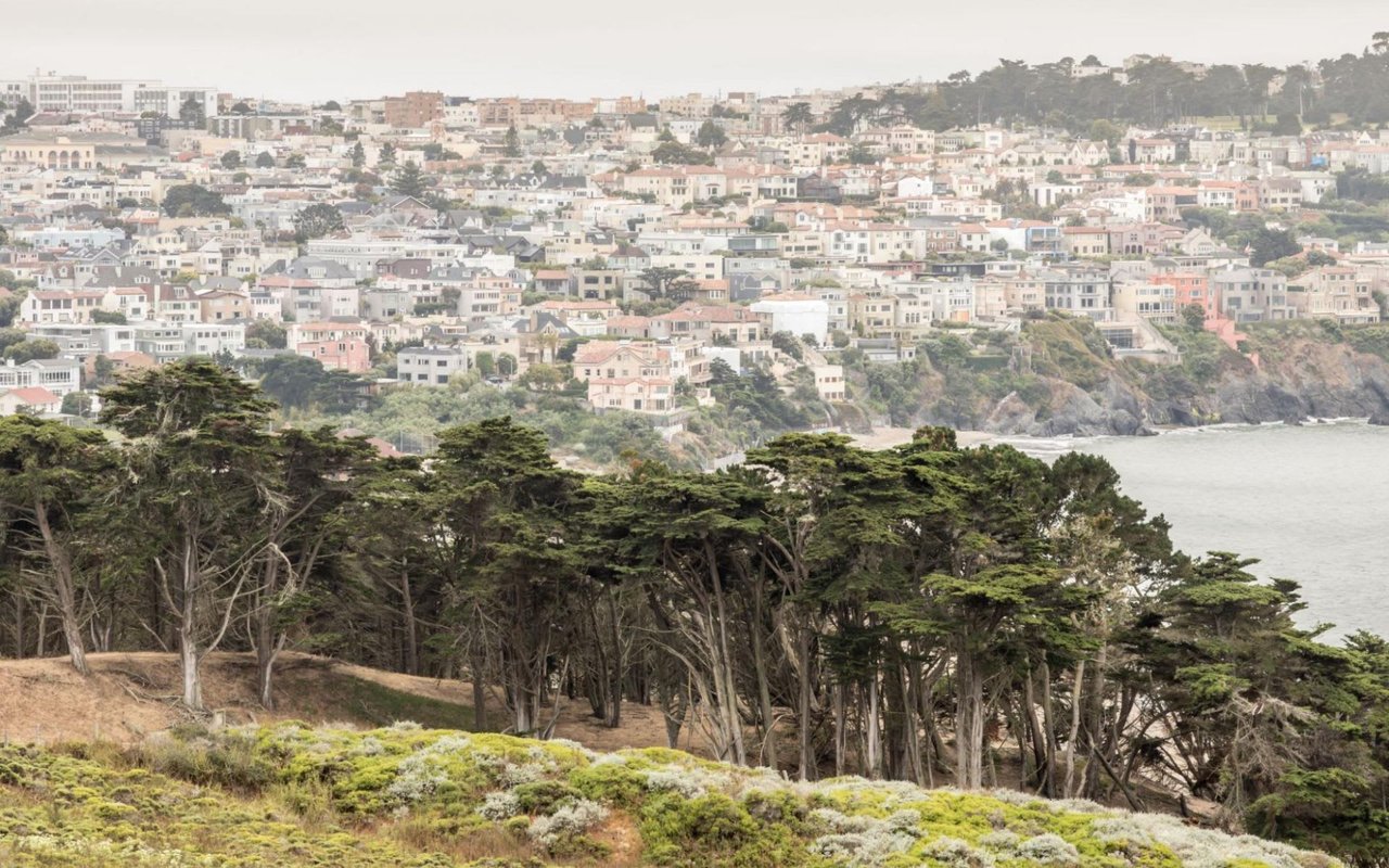 How to Confidently Choose a Richmond District Realtor to Work With