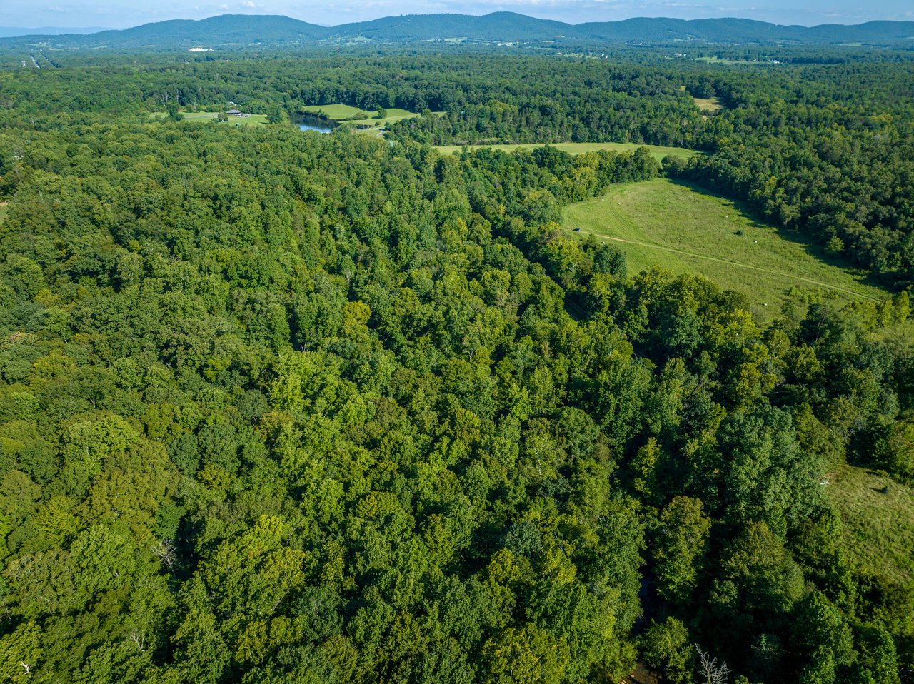 Unlocking Wealth and Opportunities: Why You Should Invest in Land