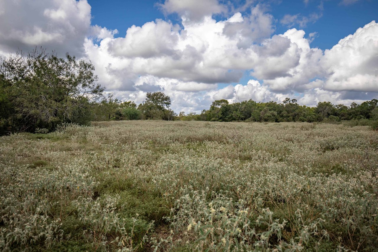 Lovers Lane River Ranch | 140± Acres | DeWitt County