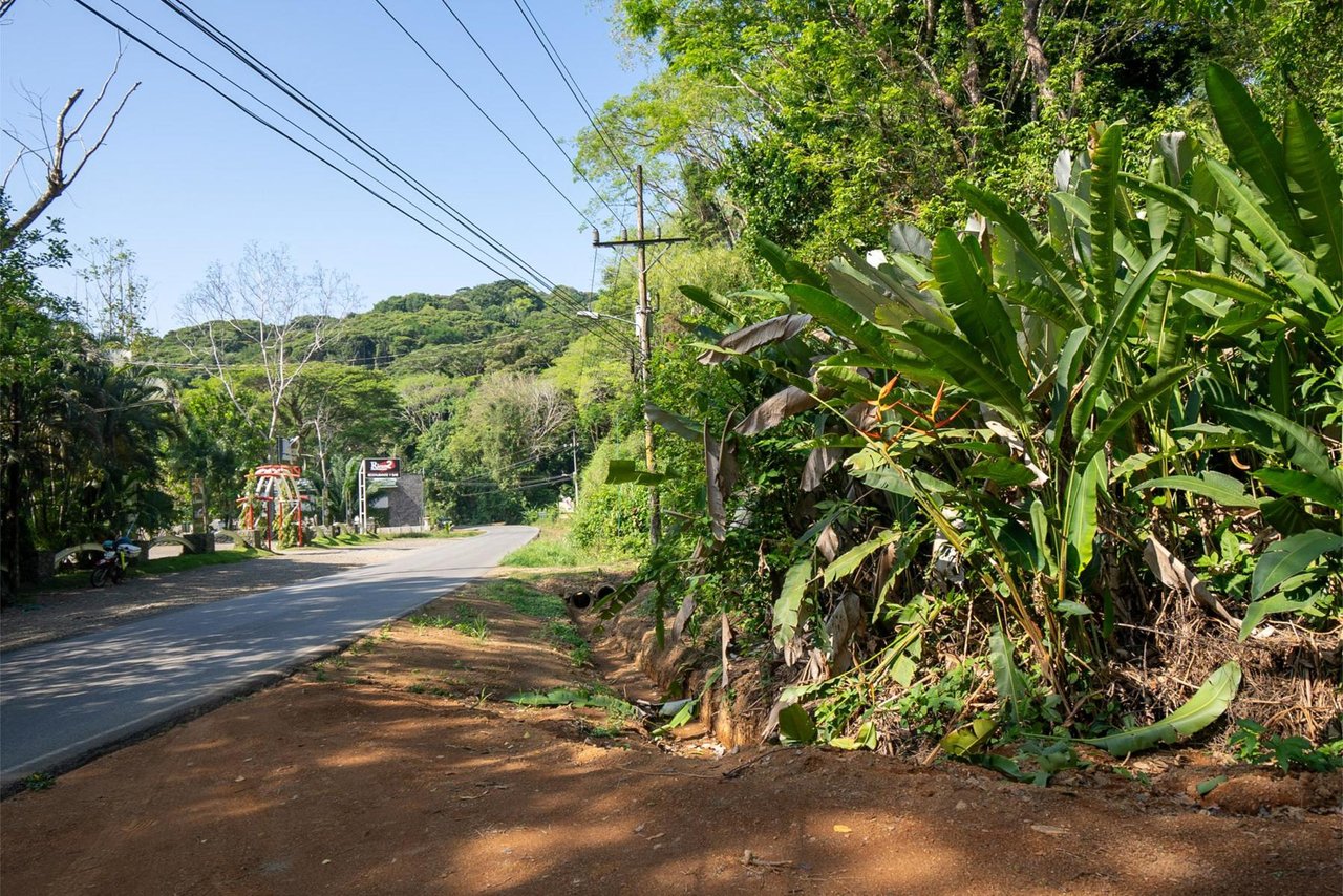 Private Ocean View Development Lot, Dominical, Puntarenas