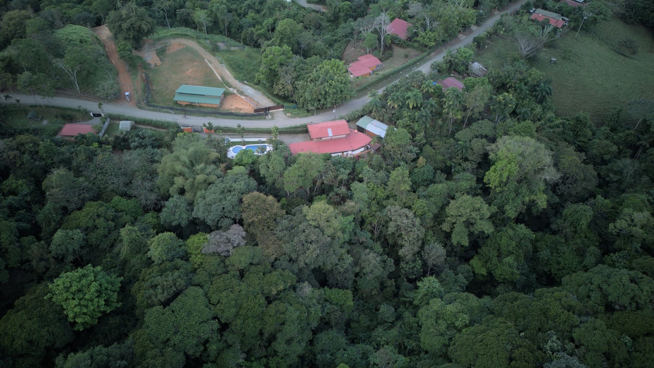 Platanillo 3 Bedroom home with Swimming Pool on 2 Acres