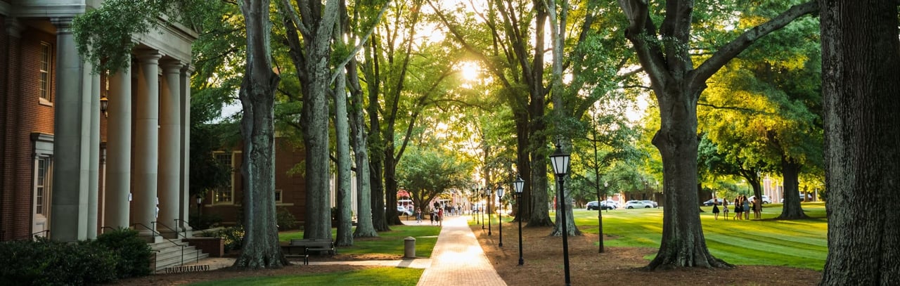 Discover the Charms of Davidson, NC: A Guide to Living and Working in Mecklenburg County's Hidden Gem