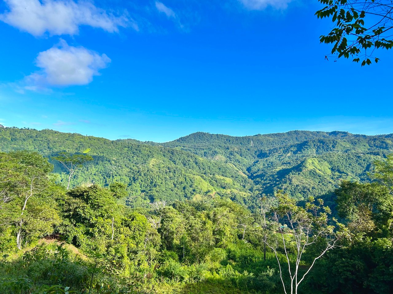 Over 123 Acres Farm in San Josecito De Morete, in Uvita Mountains