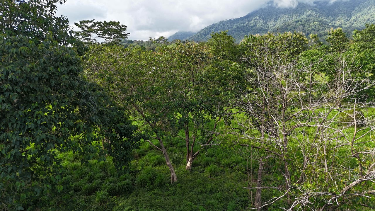 Over 3 Acres, Mountain View Lot in the Heart of Ojochal, Ready for Development!.