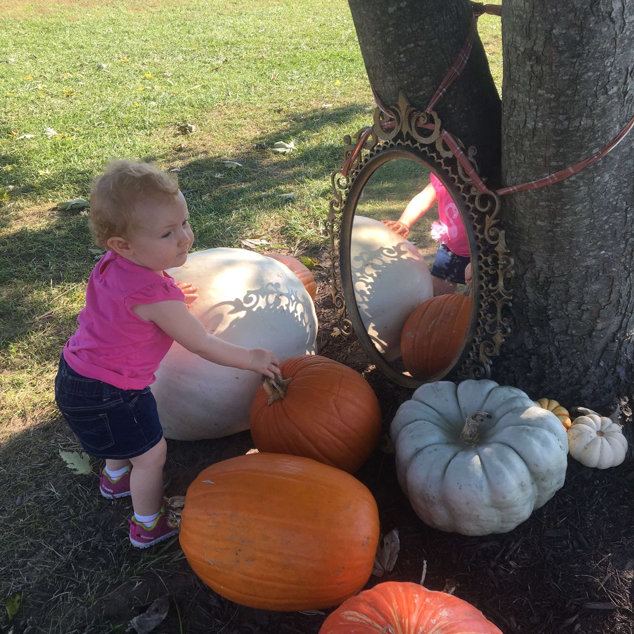 Fall Activities for Kids 