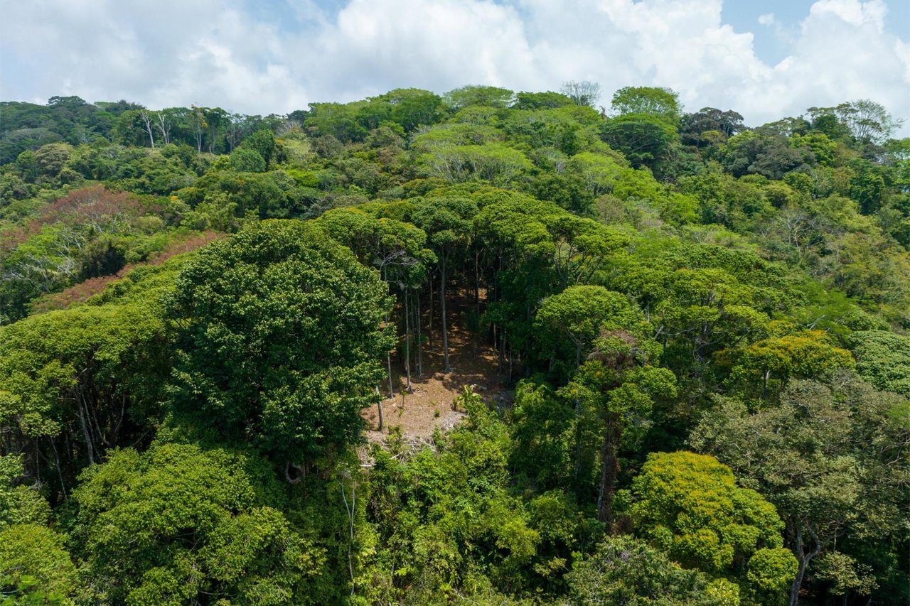 Private Ocean View Development Lot, Dominical, Puntarenas