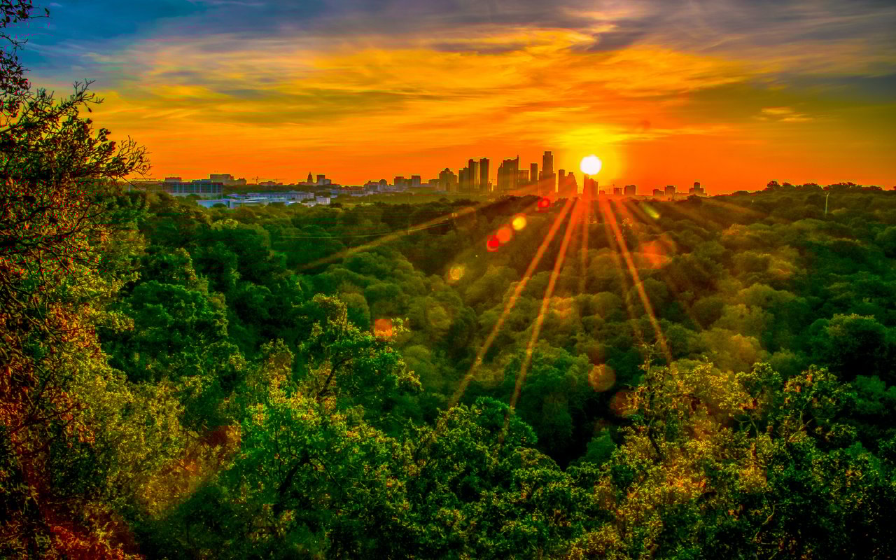 Castlewood Forest