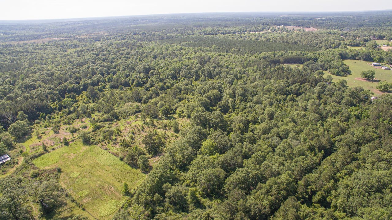 32331 Carey Smith Rd