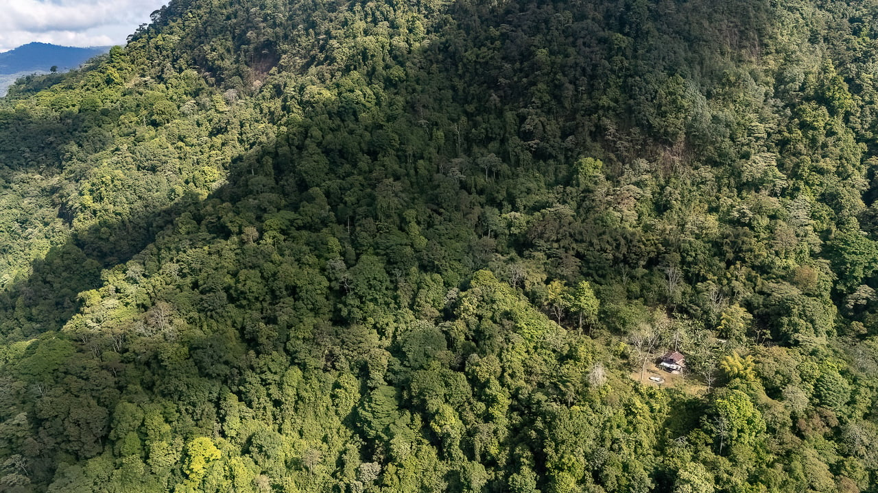 Off Grid Farm  at the top of the Uvita mountain range