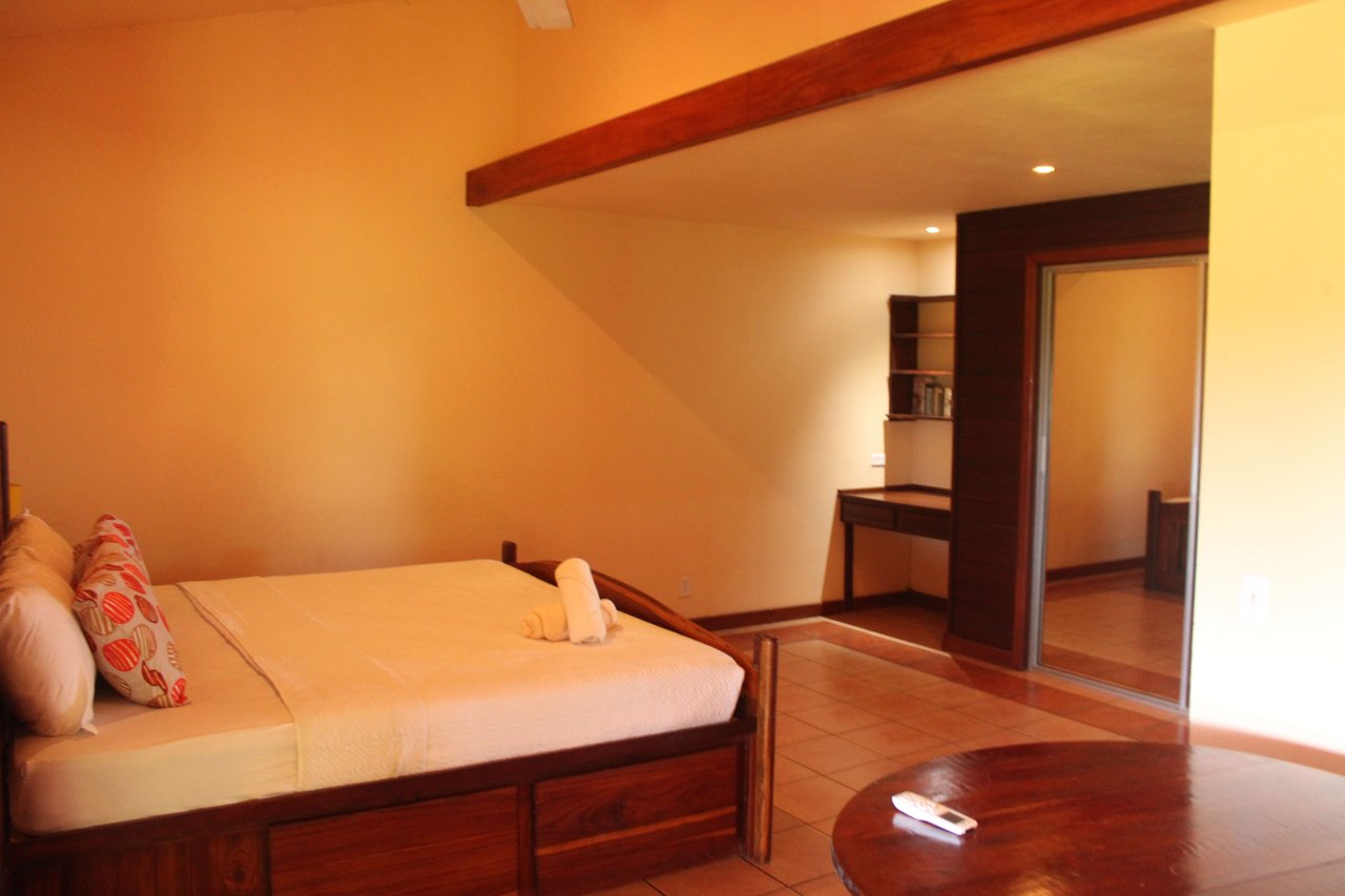 Income Producing Property with Ocean View close to Dominical