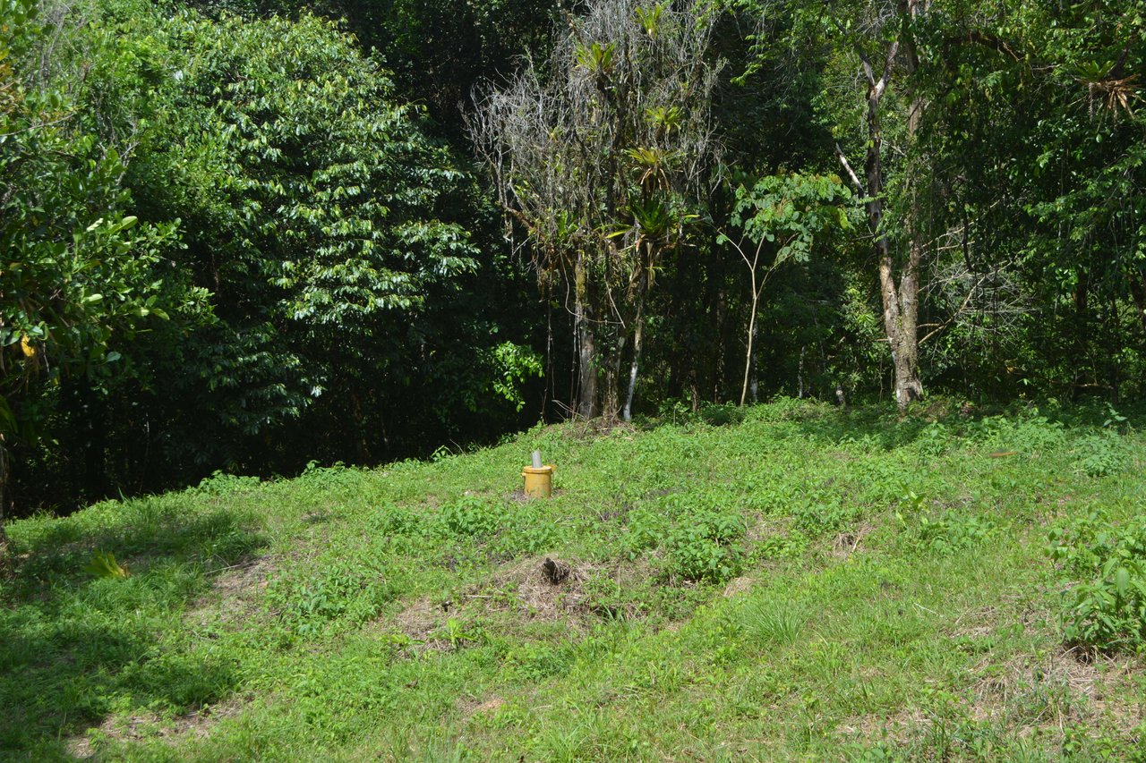 42 Acres With Waterfalls, Ocean Views & Multiple Building Sites Sliencio Ariba