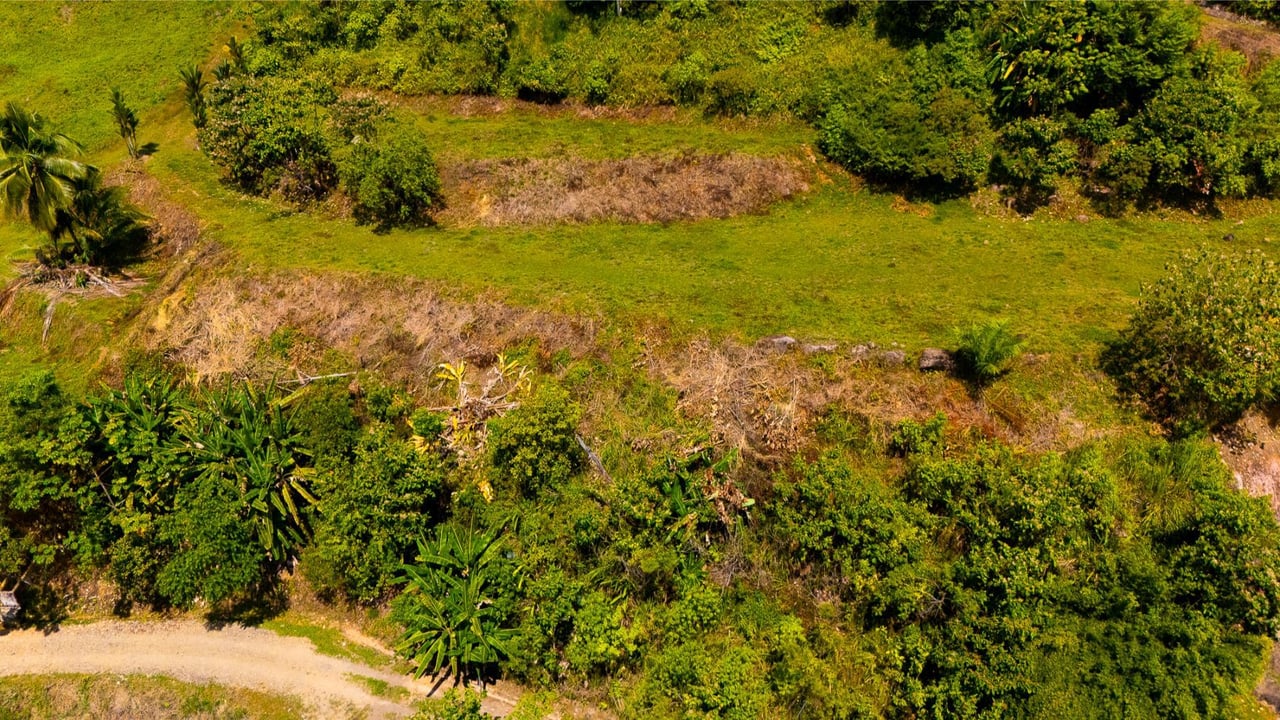 Ocean View Building Site, Ojochal, Puntarenas