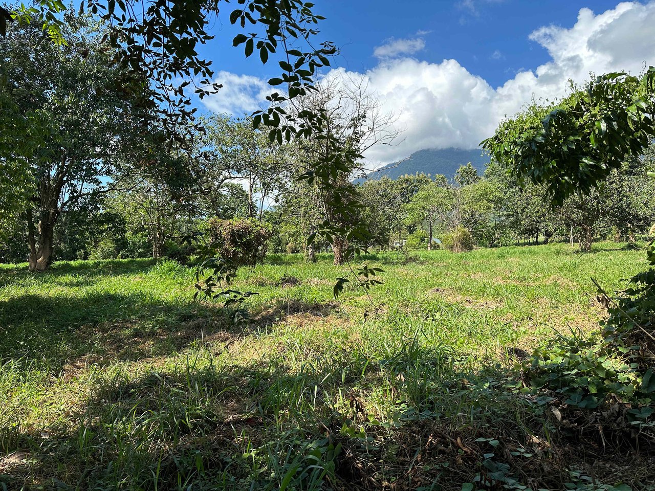 Over 3 Acres, Mountain View Lot in the Heart of Ojochal, Ready for Development!.