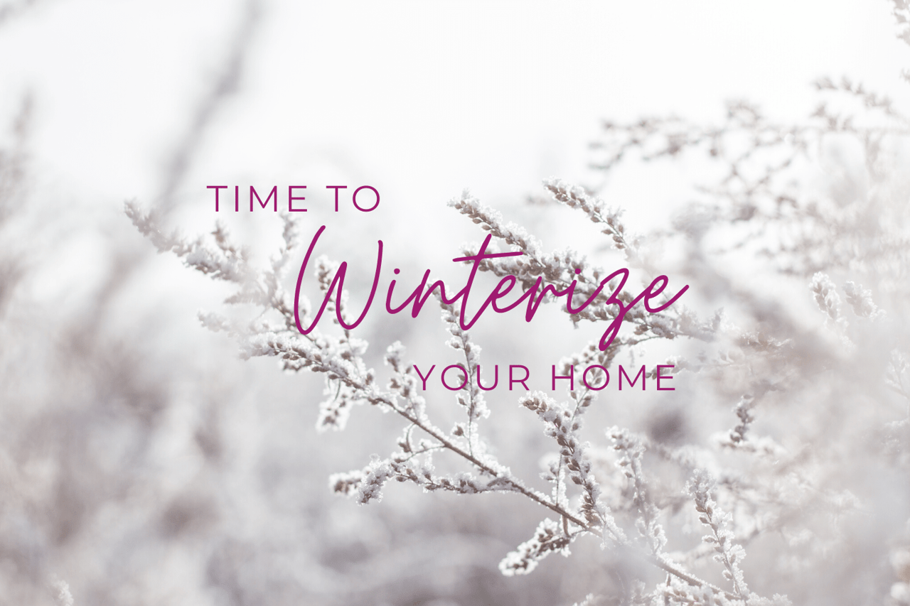 Winterize your home message over frost-covered plants.