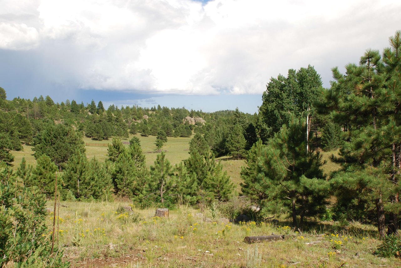 Elk Mountain Ranch