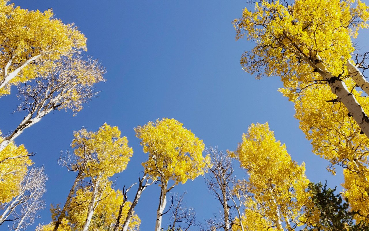 East of Aspen