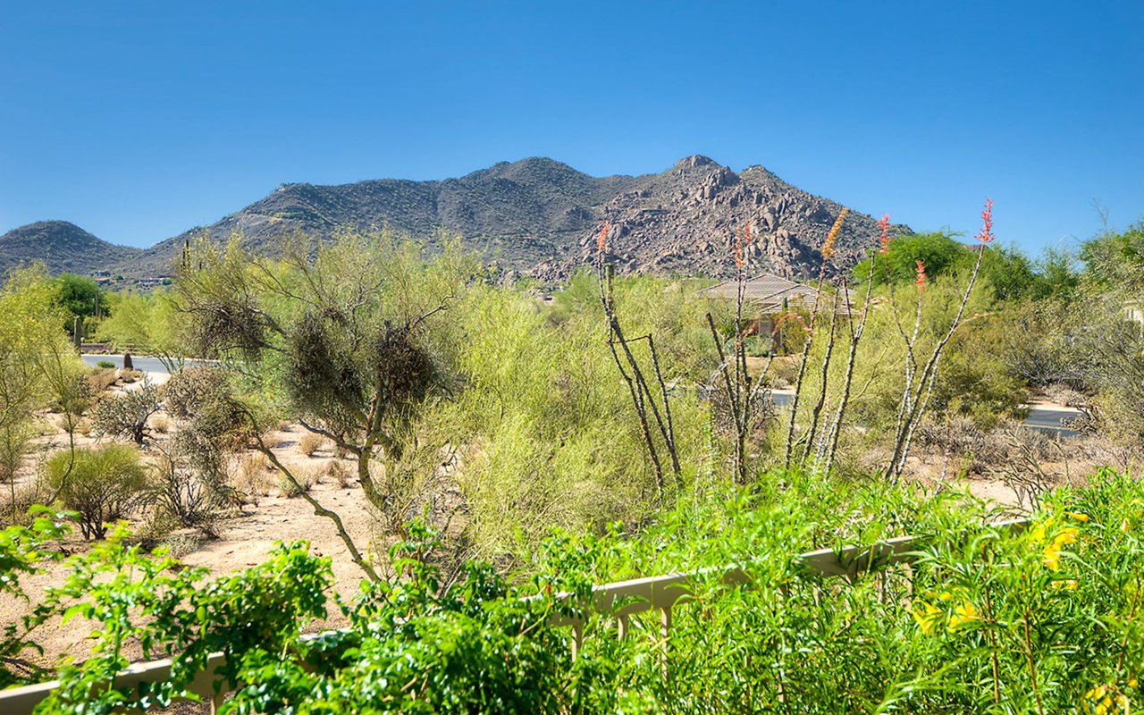 Great First Quarter News for Scottsdale Sellers