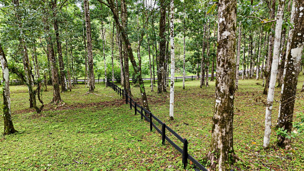 Finca Macadamia | 154-acre Rainforest Paradise with two Houses and Trails!