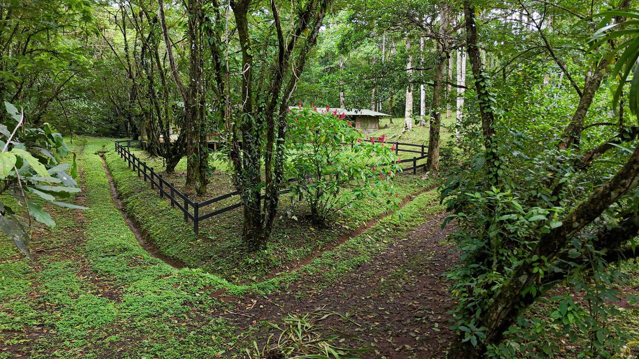 Finca Macadamia | 154-acre Rainforest Paradise with two Houses and Trails!