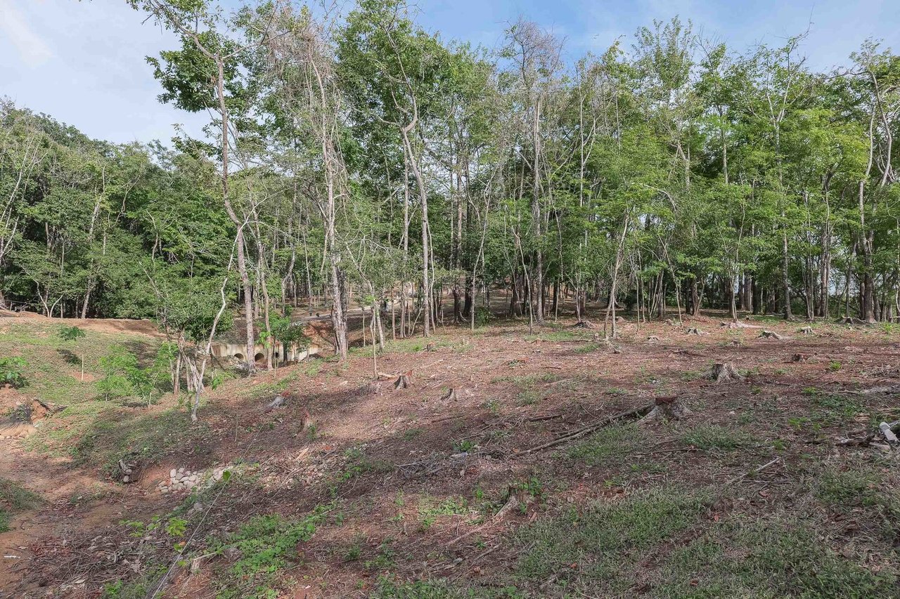 Sustainable Coastal Building Lot, Nosara, Guanacaste
