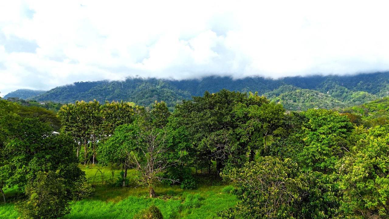 Over 3 Acres, Mountain View Lot in the Heart of Ojochal, Ready for Development!.