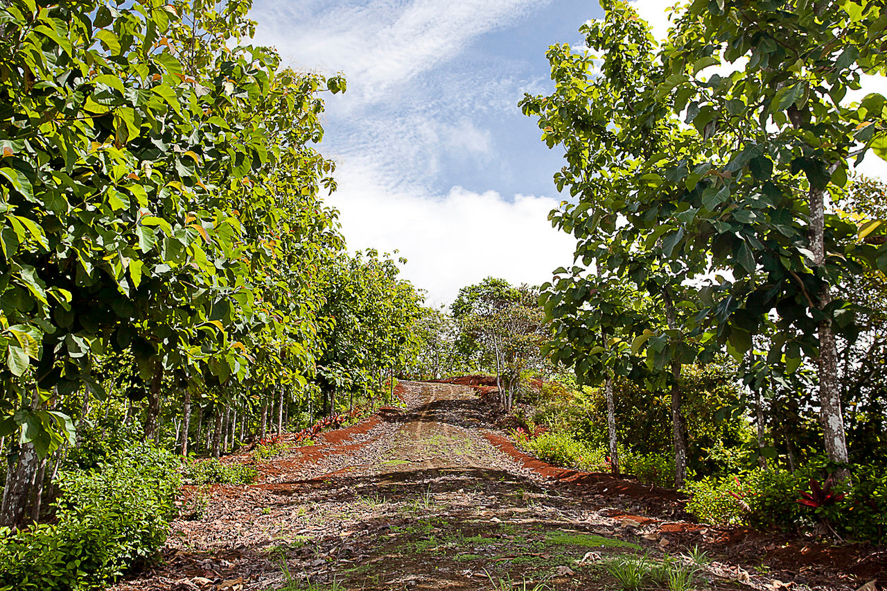 Private Ocean View Development Farm, Jaco, Puntarenas