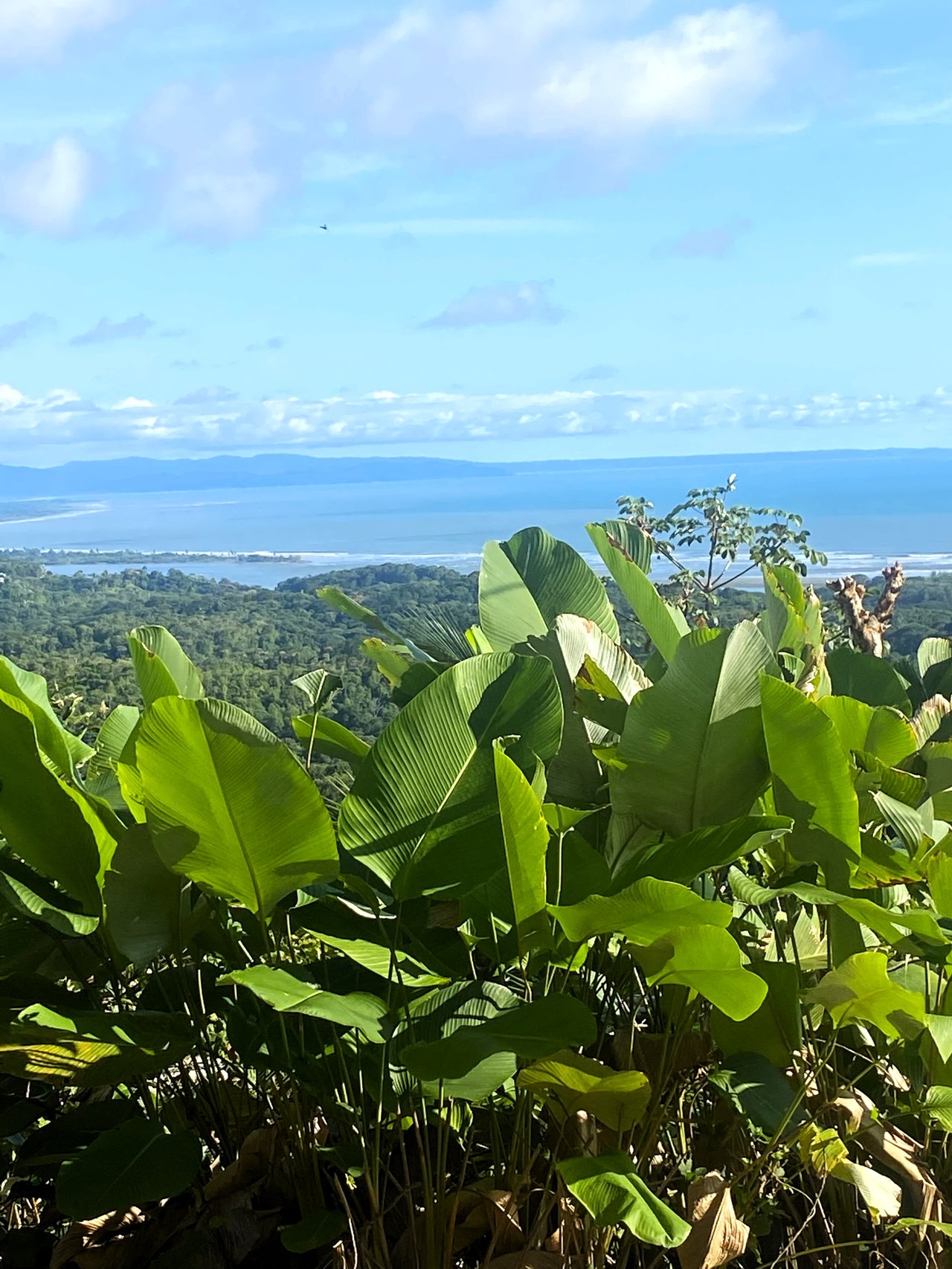 Two Bedroom Home with Stunning Pacific Ocean Views and Sunset too