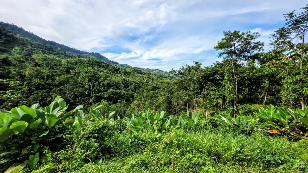Rainforest Waterfall Acreage Estate, Dominical, Puntarenas