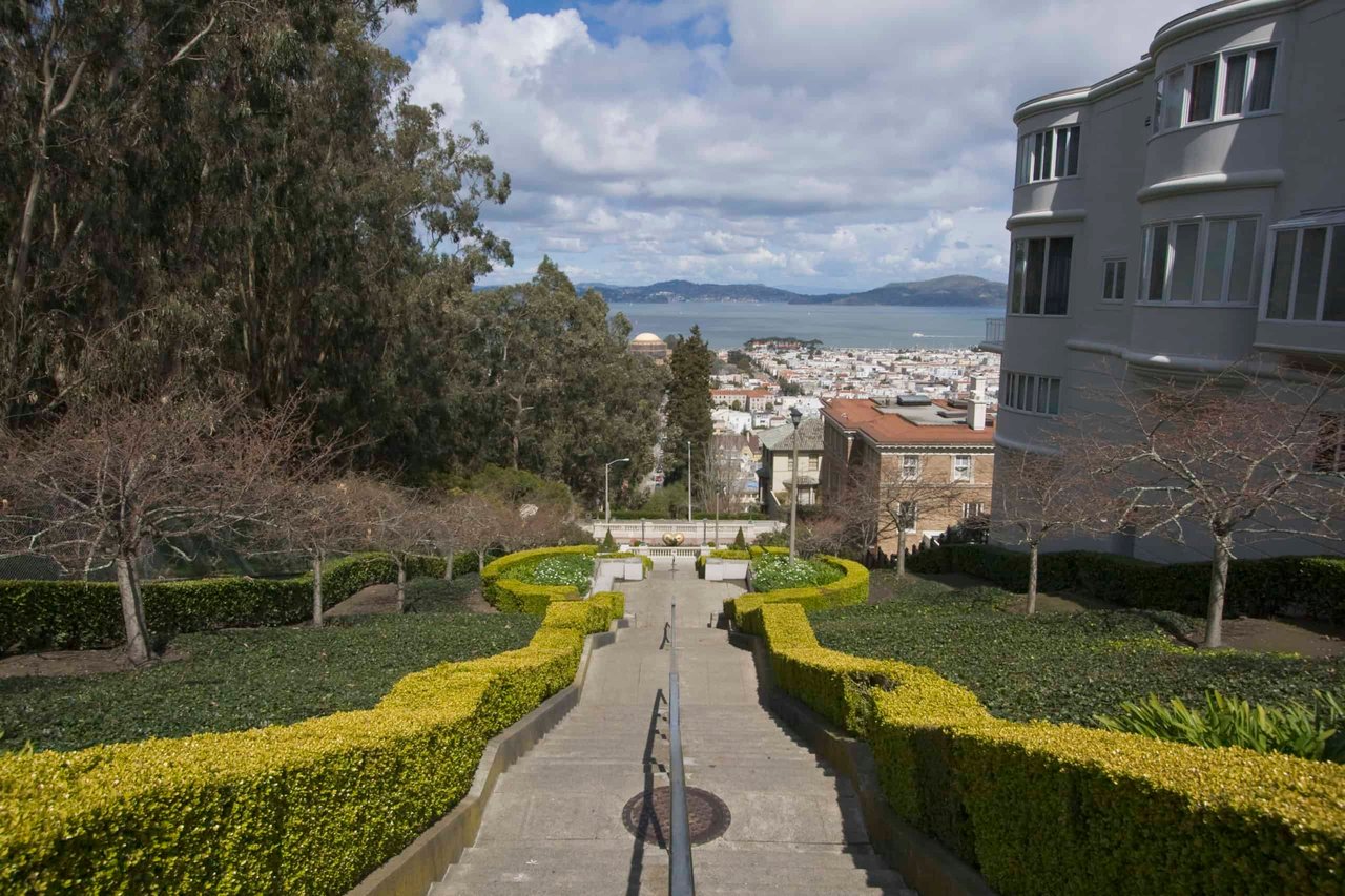 Pacific Heights