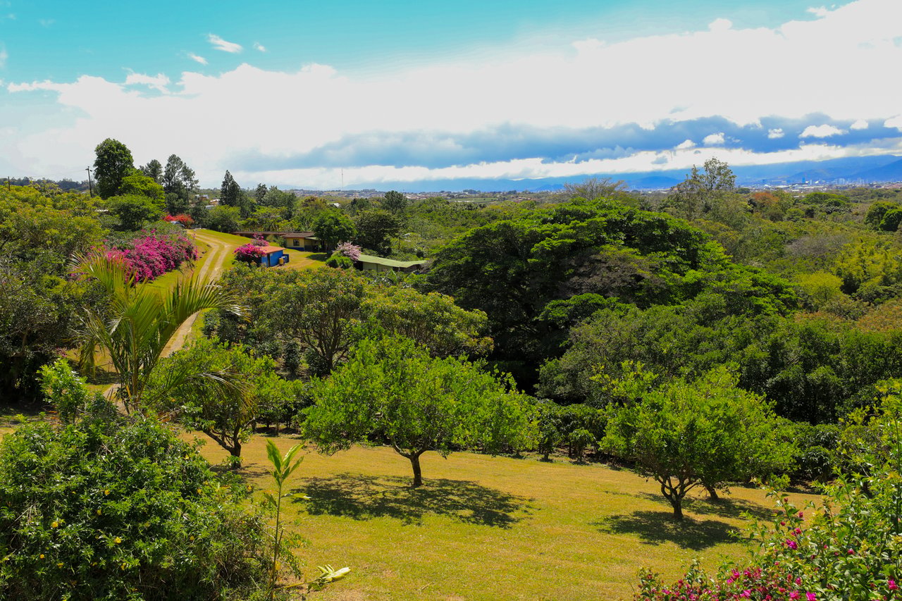 Historic Coffee Farm Estate, Heredia