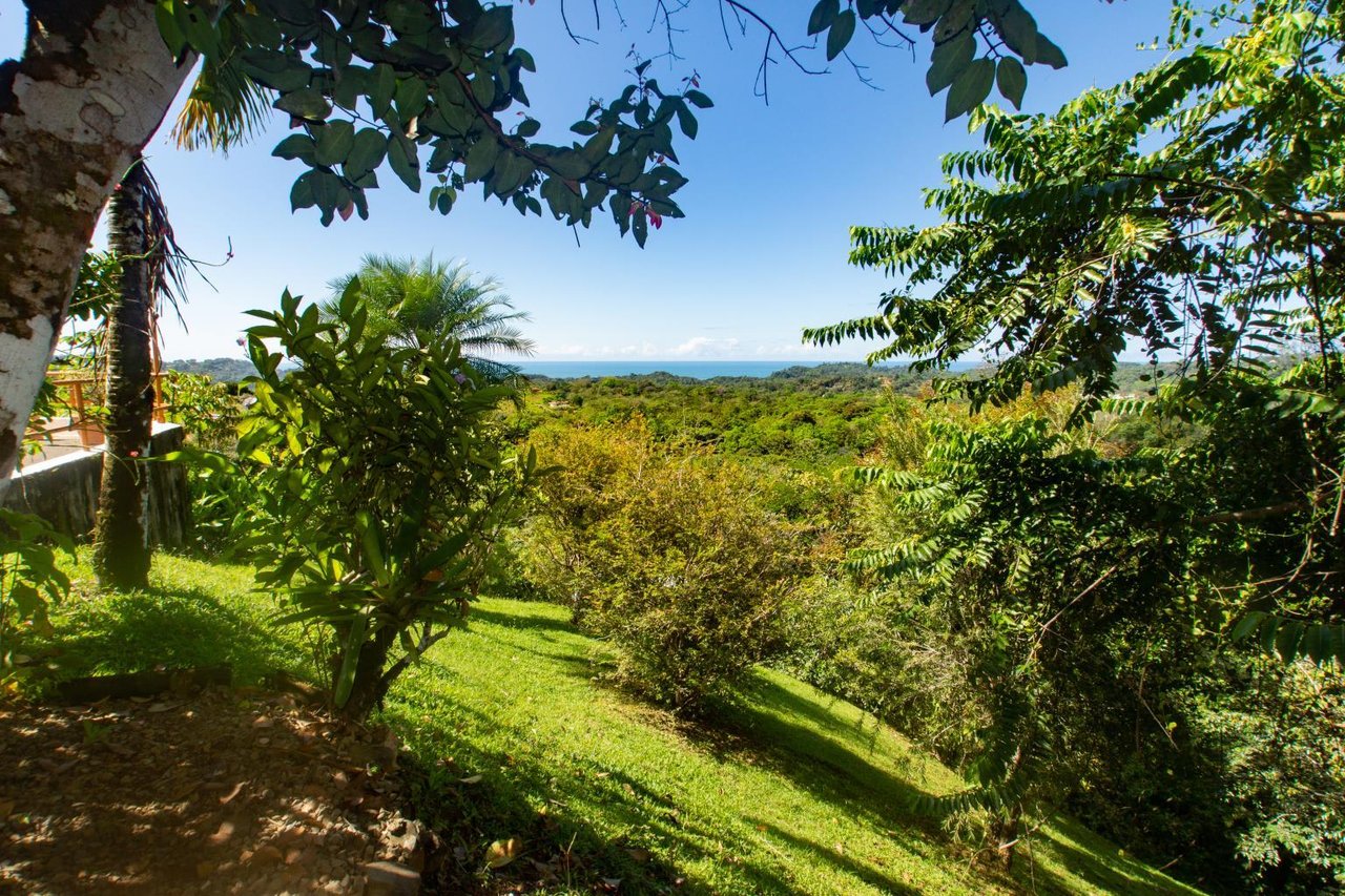 One-of-a-kind Oceanview 3+ Bedroom Home