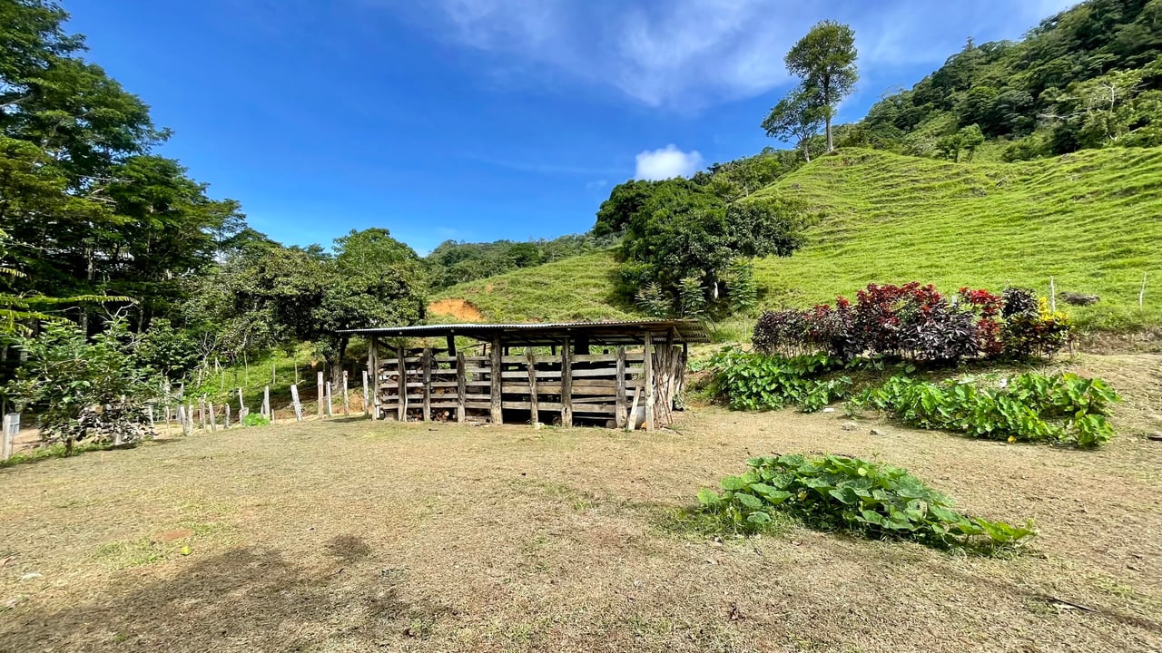 Stunning Ocean View Farm in San Luis de Morete, Over 23 Acres