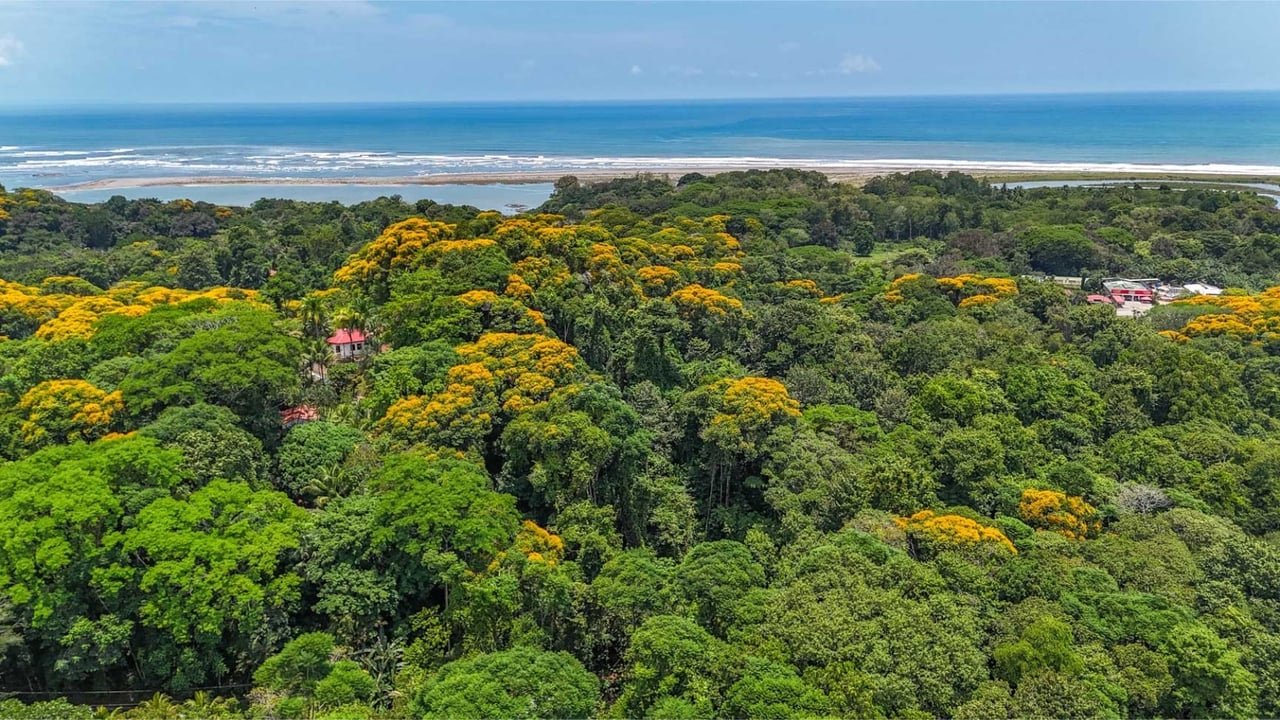 Oceanfront Highway Commercial Land, Ojochal, Puntarenas