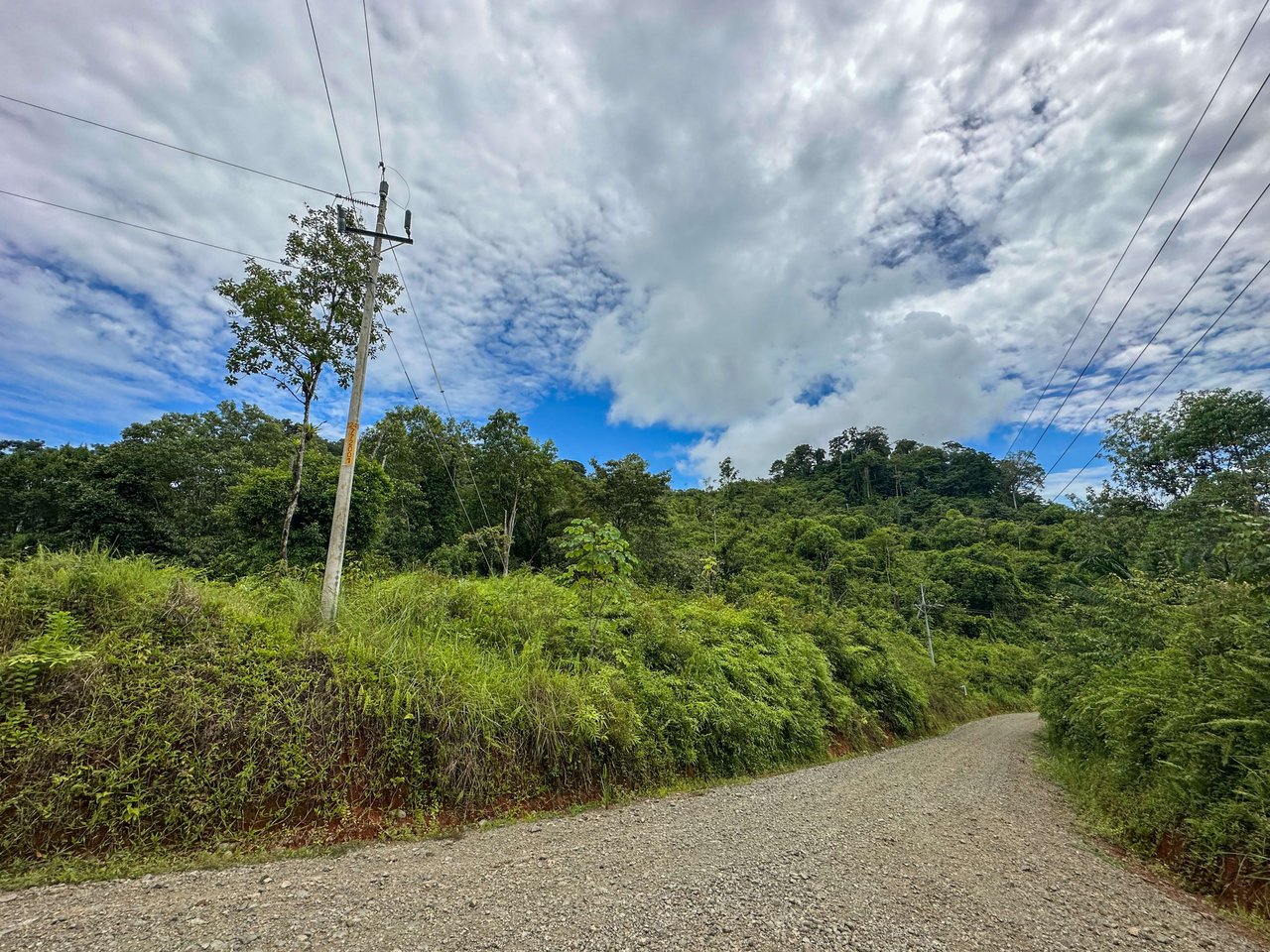 Costa Rican Gem with Conservation Potential: Preserve 26 Acres of Pristine Land