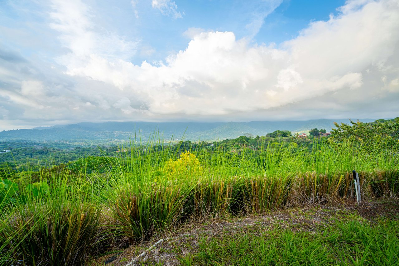Stunning White Water Ocean and Mountain View Lot
