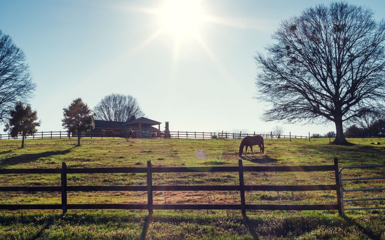 Aiken Horse District