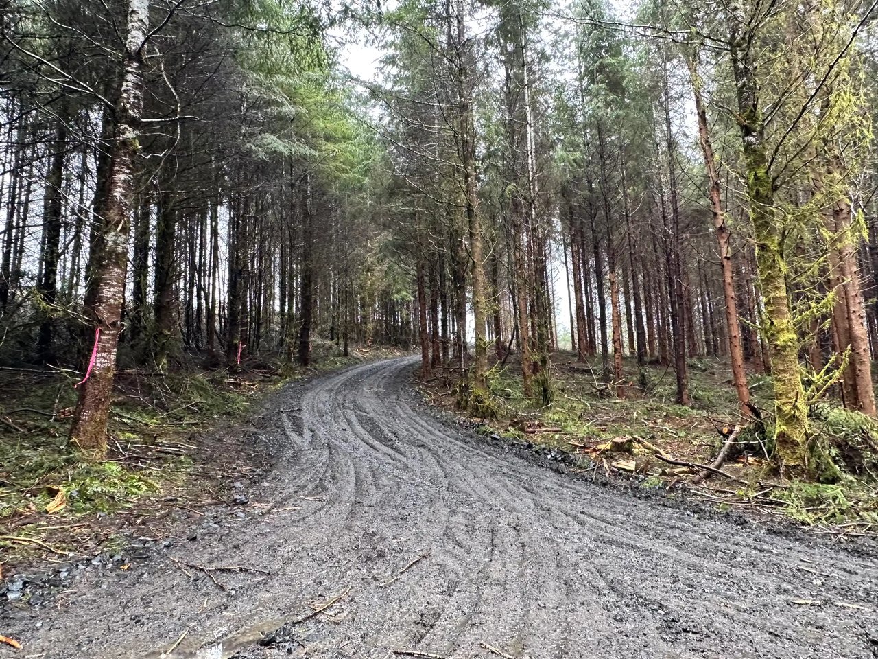 Eddyville/Sam's Creek Sealed Bid Offering (No Published Reserve) 