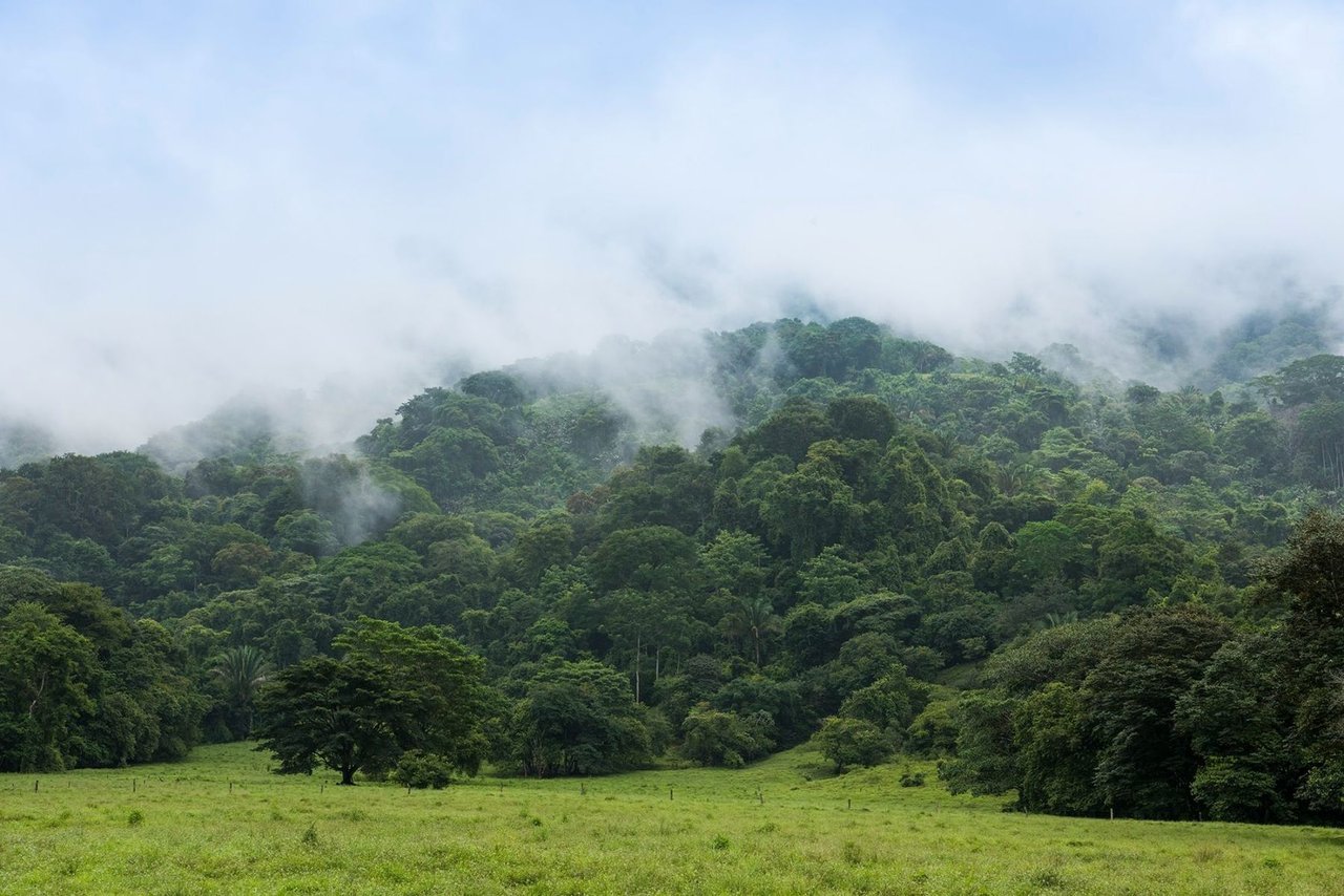Beachfront Development Land, Dominical, Puntarenas
