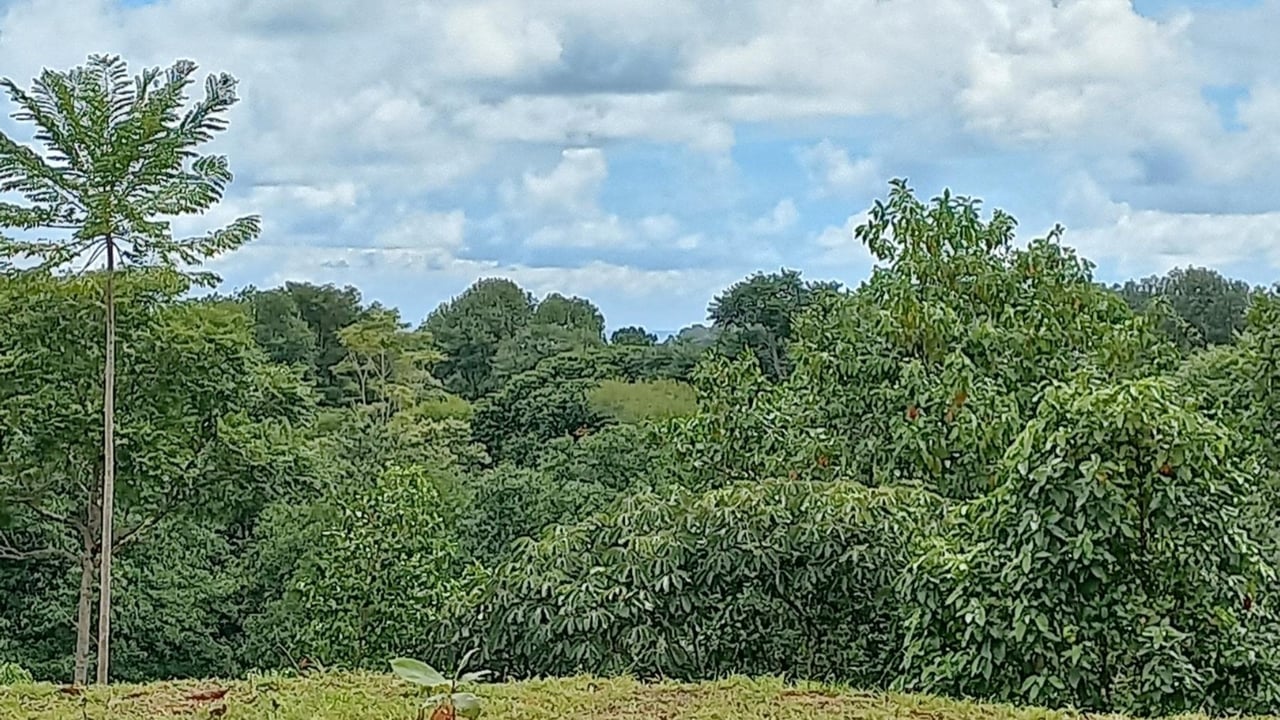 Usable Development Land, Ojochal, Puntarenas