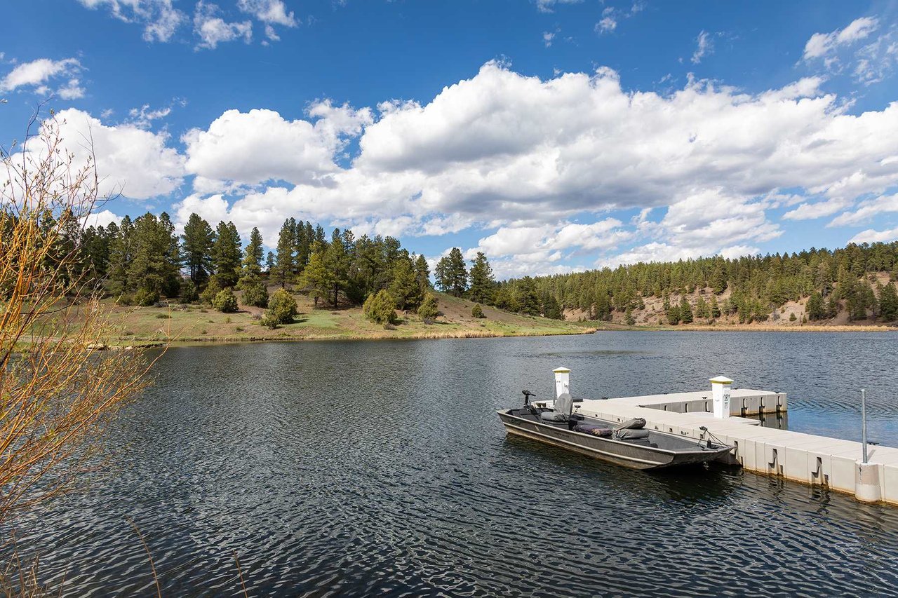 Watusi Ranch - Pagosa Springs, Colorado