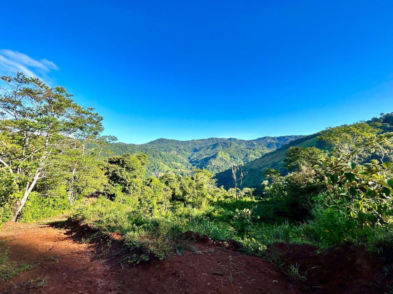 Over 123 Acres Farm in San Josecito De Morete, in Uvita Mountains