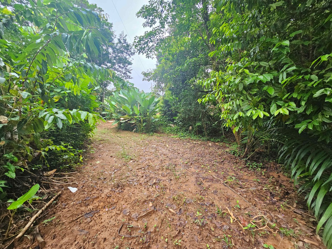 Discover Your Dream in Uvita's Prime Real Estate